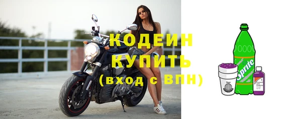 ешки Пересвет