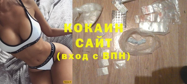 ешки Пересвет