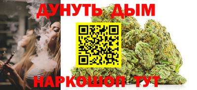 гидра Гай