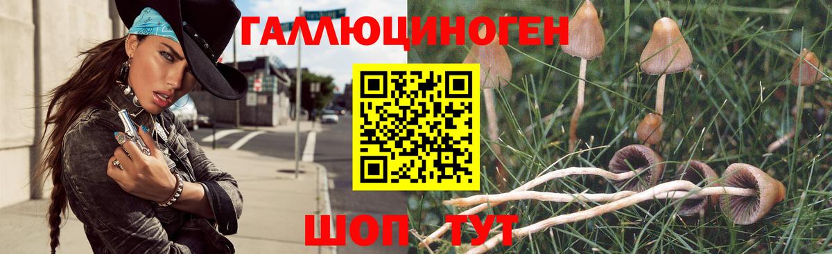 Псилоцибиновые грибы MAGIC MUSHROOMS  Вход с VPN  Псилоцибиновые грибы Psilocybine cubensis  Анапа 