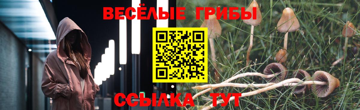 Анапа  Псилоцибиновые грибы Psilocybe  Псилоцибиновые грибы MAGIC MUSHROOMS  наркота  Вход с VPN 
